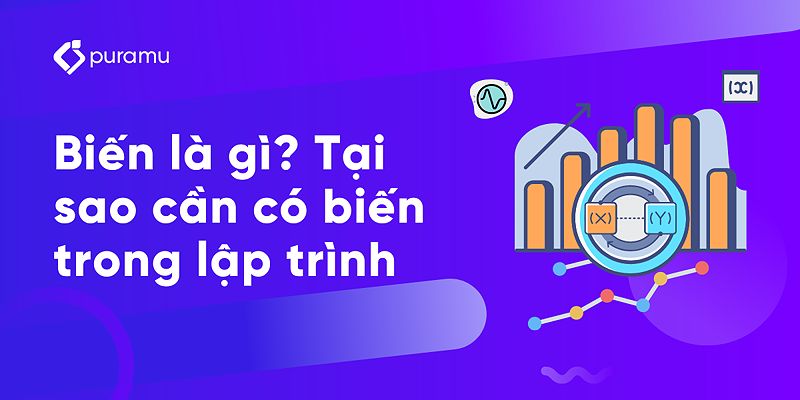 Biến là gì?