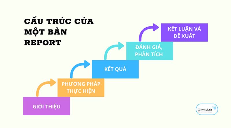 Cấu trúc của báo cáo tin học