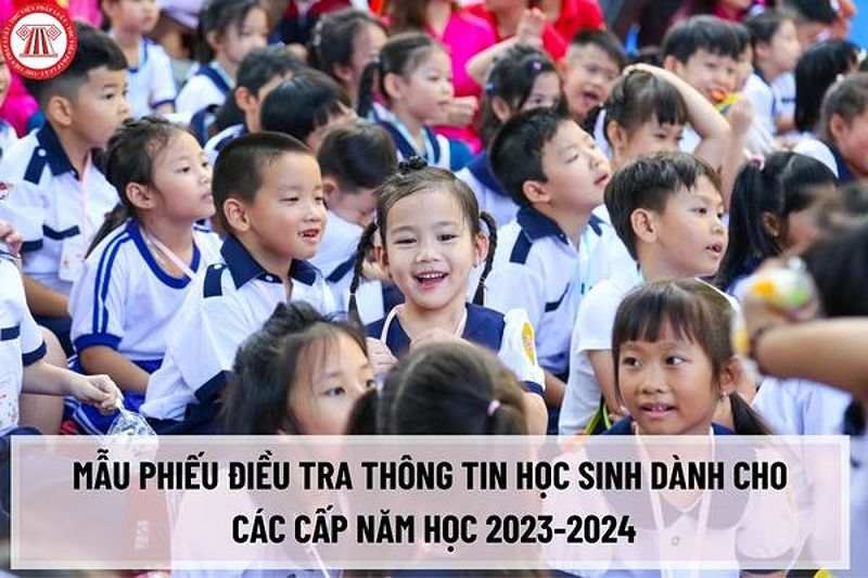 Cách Điền Phiếu Thông Tin Học Sinh Đầy Đủ Và Chính Xác