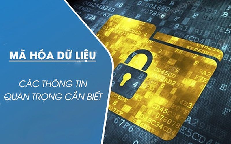 Mã hóa dữ liệu là gì