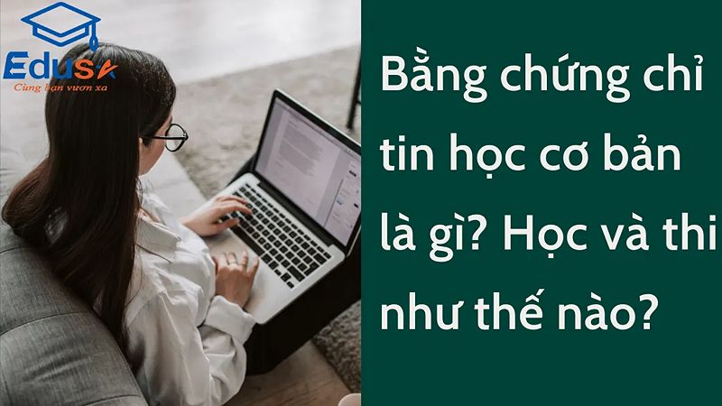 Các Tuyến Trong Tin Học Là Gì? Tổng Quan Và Phân Loại Chi Tiết